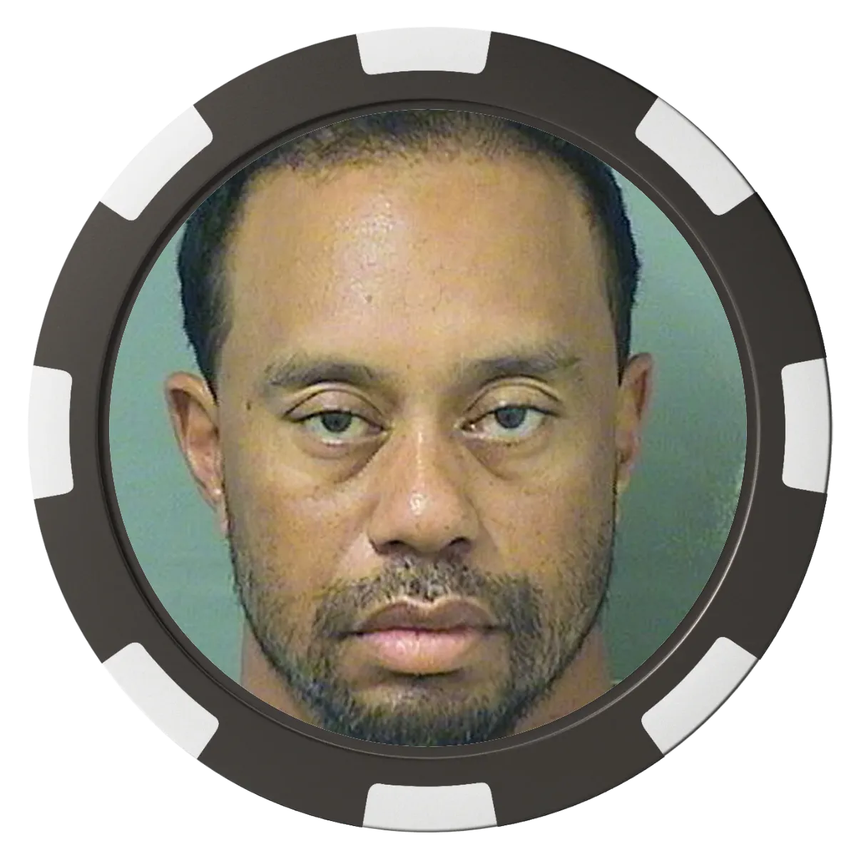 Tiger Woods Mugshot 1.0 Ballmarker