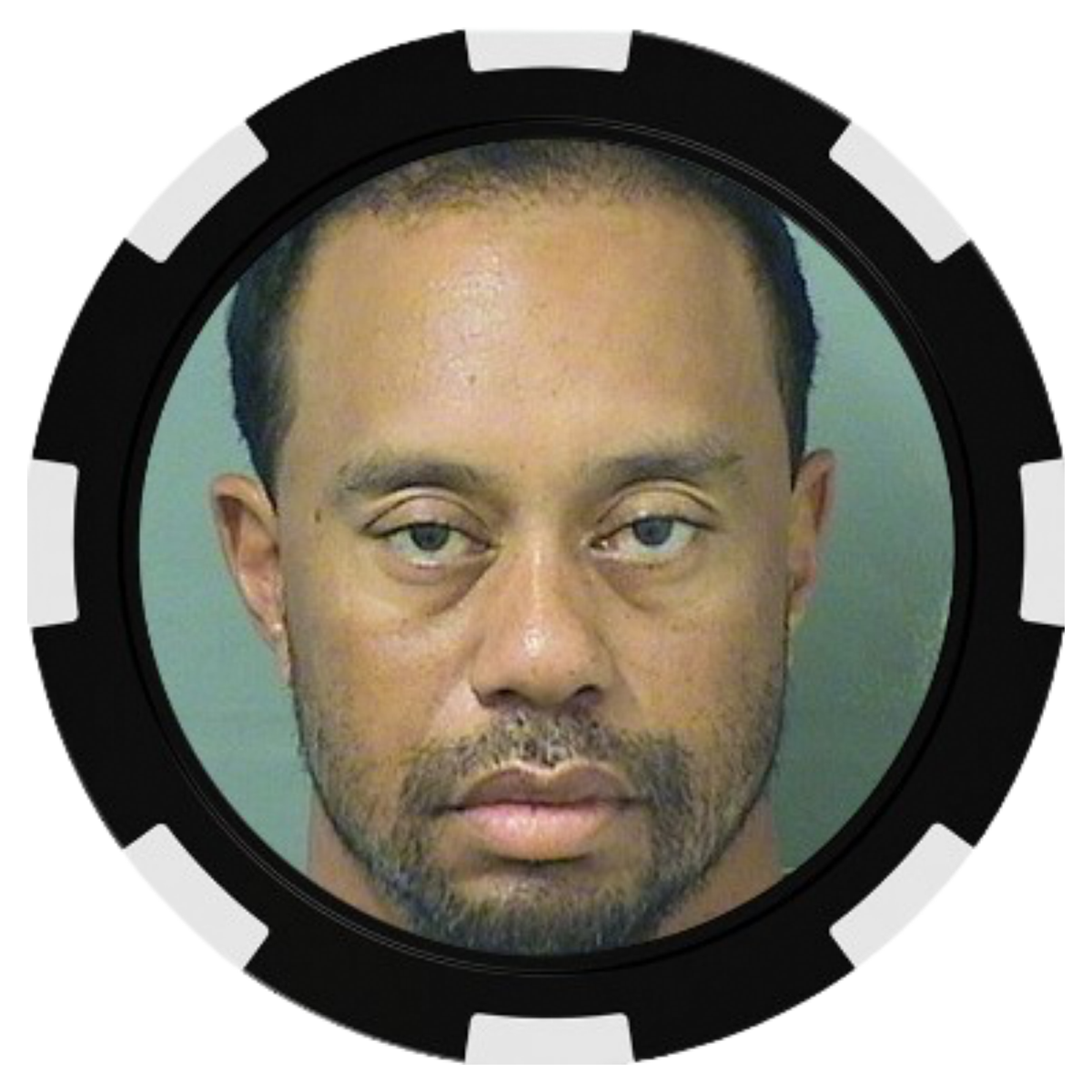 Tiger Woods Mugshot 1.0 Ballmarker
