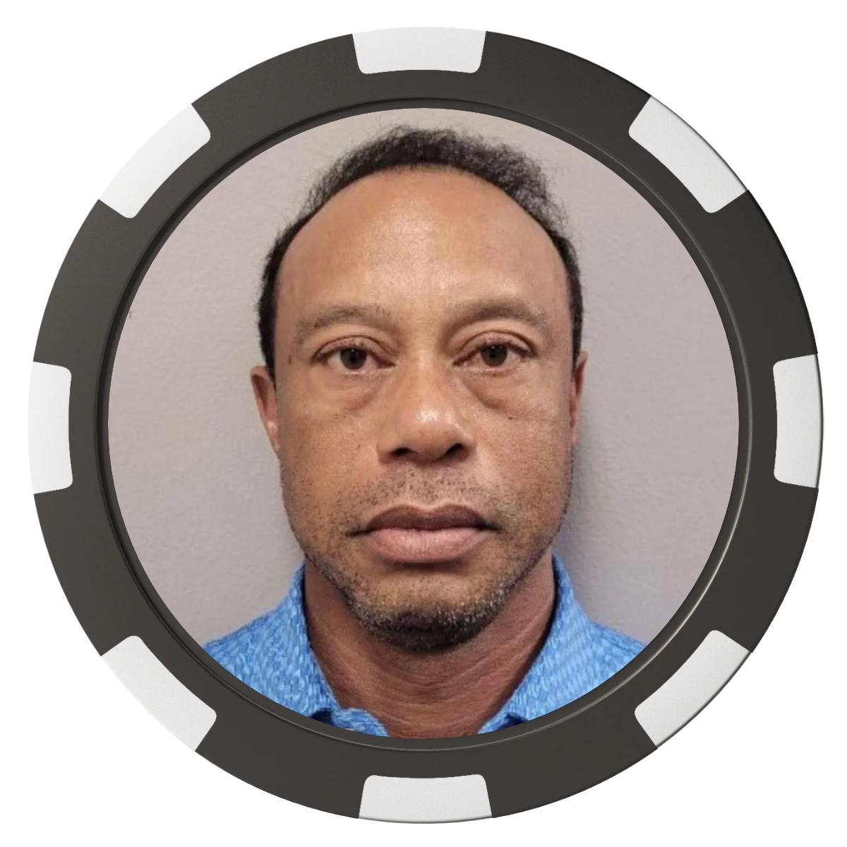 Tiger Woods Mugshot 2.0 Ballmarker